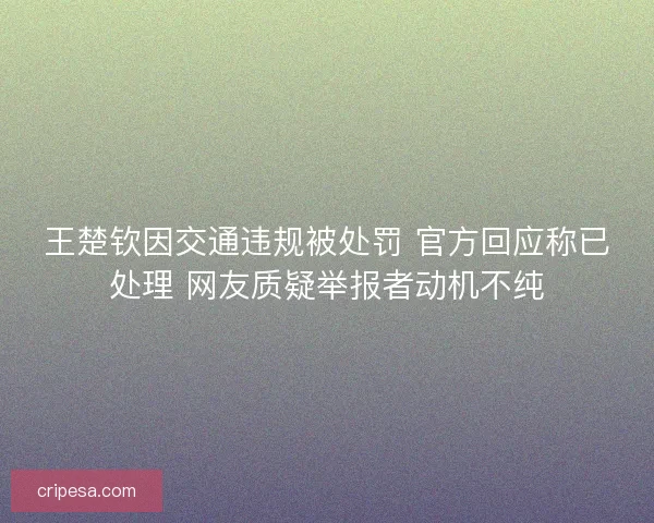 王楚钦因交通违规被处罚 官方回应称已处理 网友质疑举报者动机不纯