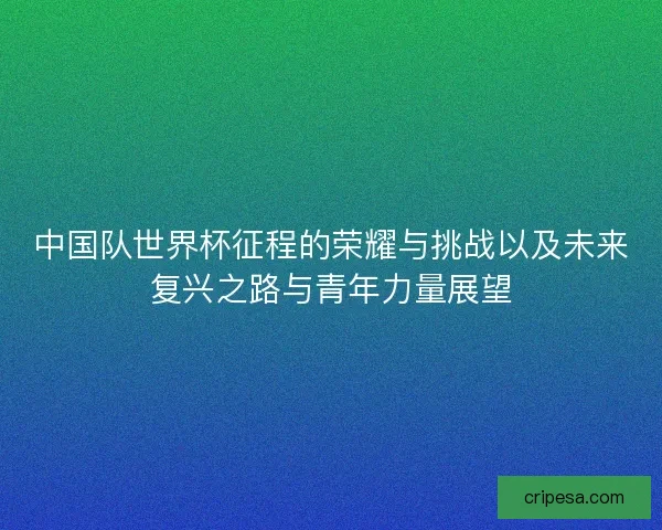 中国队世界杯征程的荣耀与挑战以及未来复兴之路与青年力量展望